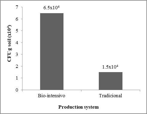 Cantidad de hongos en los sistemas de producción biointensivo y tradicional
