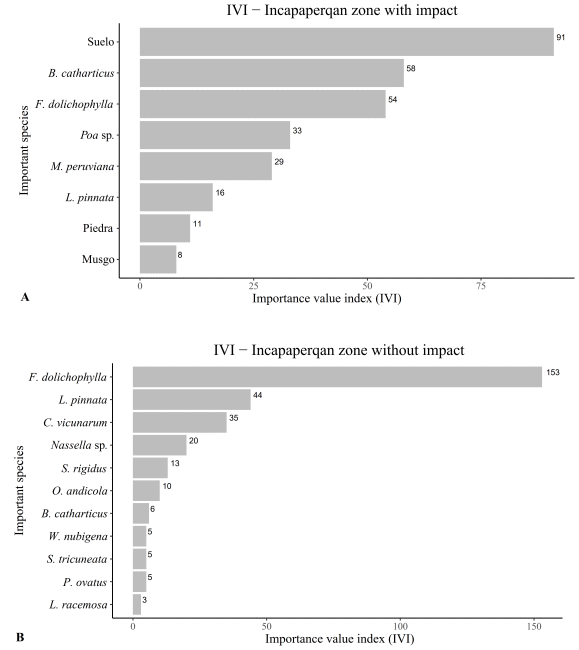 Importance value index of vegetation in the locality of Incapaperqan, with and
without Chiara impact. Ayacucho-2021