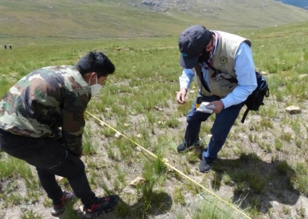 Transect evaluation method. Chiara District,
Ayacucho-Peru