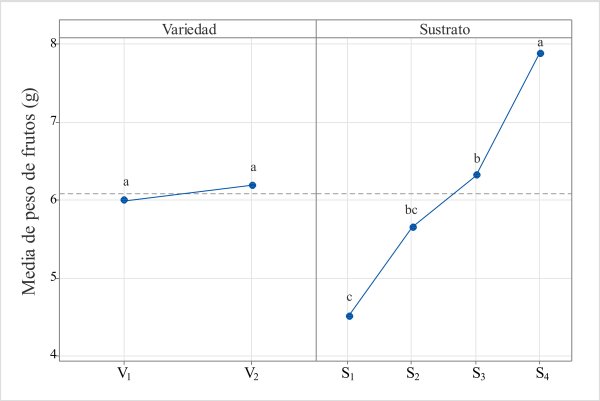 Efectos
principales para peso promedio de frutos (g) con dos variedades de C. chinense Jacq., en 4 tipos de
sustratos