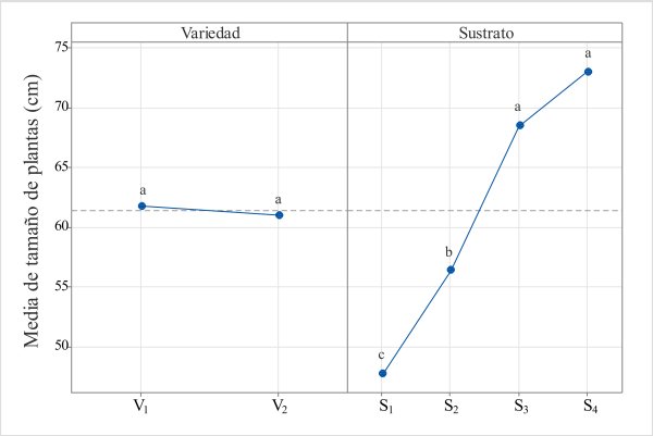 Efectos principales para tamaño de plantas (cm) con las dos variedades de C. chinense Jacq., en 4 tipos de
sustratos