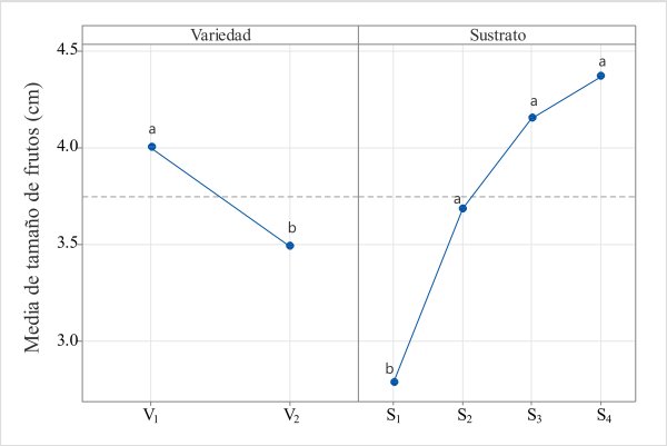 Main effects for average
fruit size (cm) with two varieties of C.
chinense Jacq. 4 types of substrates