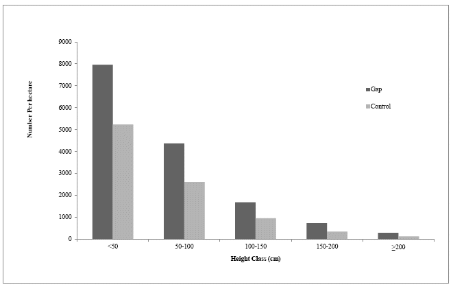Height class distribution of seedlings and saplings of the communities
in gaps and control plots of Kafa afromontane forest