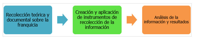 Fases del procedimiento metodológico