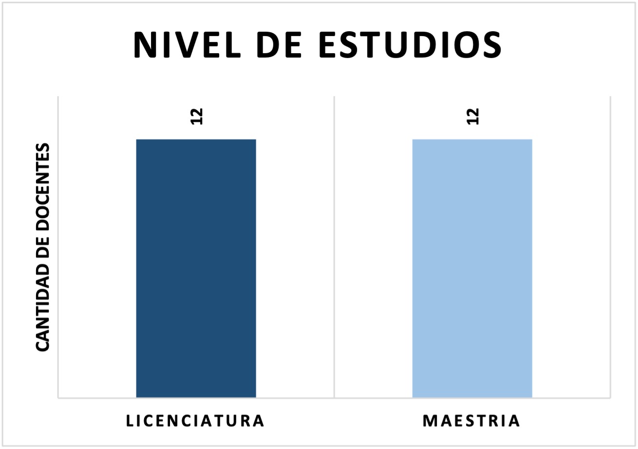Nivel de estudios de los docentes.