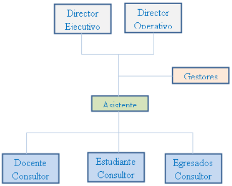 Organigrama consultorio empresarial