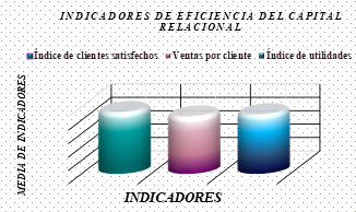 Indicadores de eficiencia del Capital relacional.