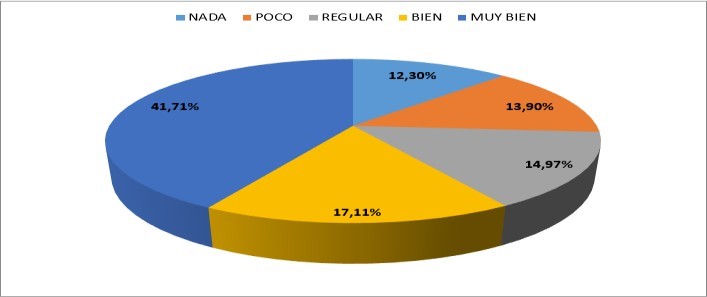 ¿Inserta distintos elementos, como imágenes, tablas o gráficos?