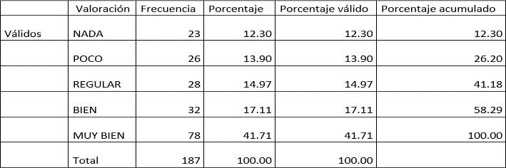¿Inserta distintos elementos, como imágenes,
tablas o gráficos?