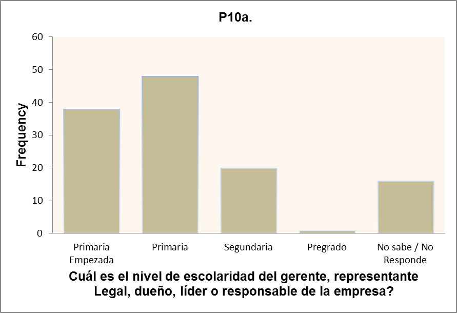 Nivel de escolaridad del responsable del
establecimiento