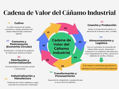 Cadena de valor del c&aacute;&ntilde;amo industrial.