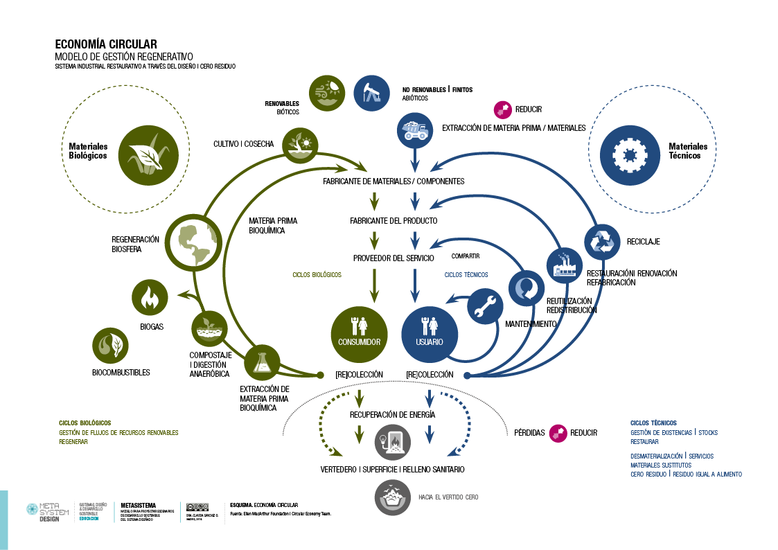 Diagrama de los componentes de la econom&iacute;a circular aplicados en la sostenibilidad organizacional.