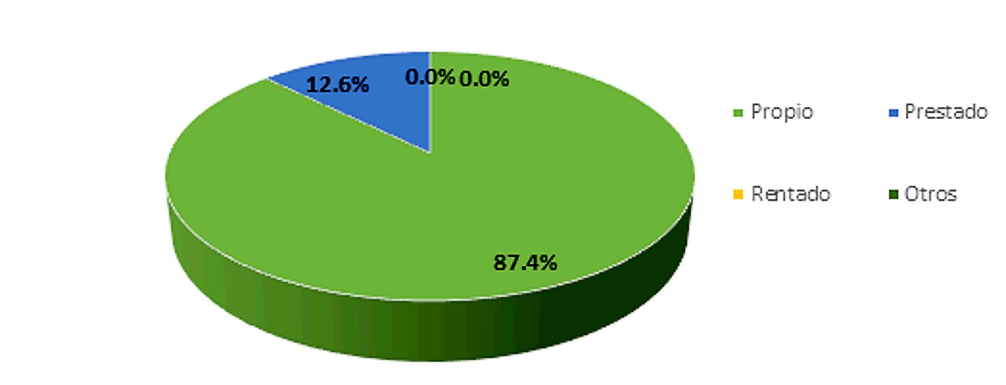 Gráfico 2