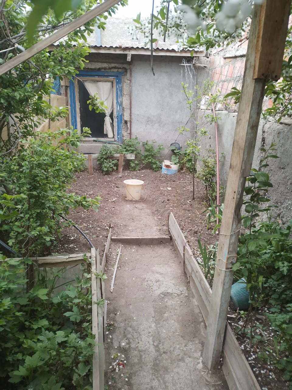 Vivienda de AAC con árboles frutales en el lote en el barrio Belgrano vivienda autoconstruida con materiales típicos del sur de Chile