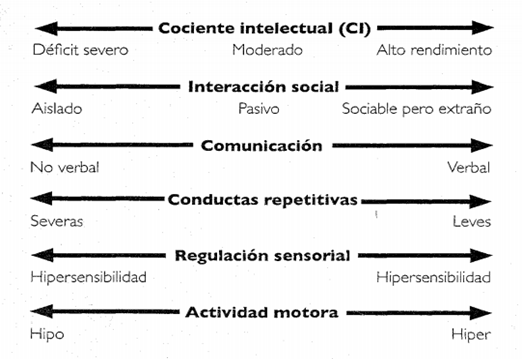 Ejes del trastorno del espectro autista Fuente Gra&ntilde;ana 2014