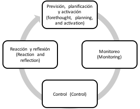 Ciclo del aprendizaje autorregulado