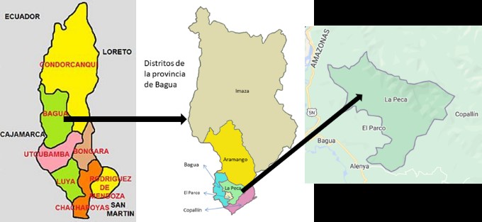 Ubicaci&oacute;n
geogr&aacute;fica del distrito de la Peca