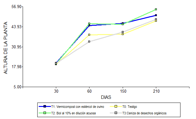 Crecimiento longitudinal del ajo (Allium
  sativum L.) evaluados a 30, 60, 90 y 150 d y su eficacia en la aplicación
  de fuentes de sustratos