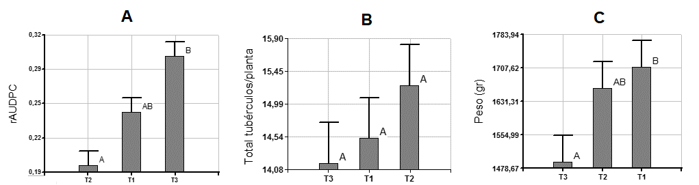 A.) Área relativa bajo la
curva del progreso de la enfermedad (rAUDPC). B).
Promedio de la cantidad de tubérculos y C) del peso por planta en los
tratamientos del cultivar Ica Única. Barras con letras distintas presentan
diferencias estadísticas (p < 0,05).  



 