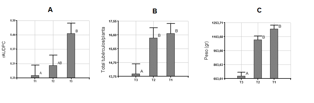A.) Área relativa bajo la curva del
progreso de la enfermedad (rAUDPC).
B). Promedio de la cantidad de tubérculos y C)  peso por planta en los tratamientos del
cultivar Diacol Capiro.
Barras con letras distintas presentan diferencias estadísticas (p < 0.05).
