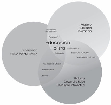 Diagrama sobre los conceptos de la Educación Holista.
Nota. Elaboración propia 

 