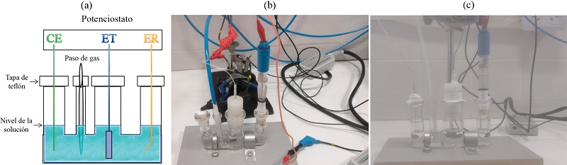 Celda electroquímica de tres compartimientos: (a) representación esquemática, donde ET es el electrodo de trabajo, ER el electrodo de referencia y CE el contra electrodo, (b) fotografía con el vidrio/Ti como ET, y (c) fotografía con la chapa de Ti como ET, durante la experiencia.