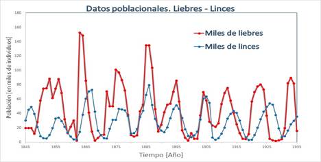 Abundancia poblacional (cantidad de
individuos de cada especie) de liebres (en rojo) y de linces (en azul)

desde 1845 a 1935 en la tundra de Alaska.