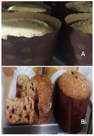Foto
 proceso de elaboración (A) y foto exterior del producto terminado (B) del panetón con sustitución parcial de harina de quinua 10%,
 harina de cañihua 10% y pop kiwicha 2%
