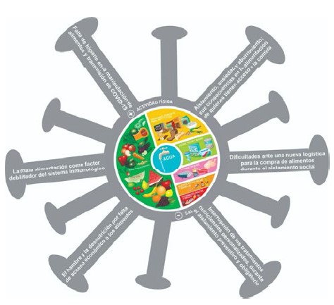 Figura 1:  Aspectos de la situación problemática:
        aislamiento y alimentación