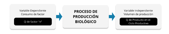 Diagrama
del proceso de producción biológico según la TGC.