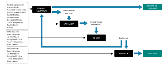 Mapeo
del proceso productivo correspondiente a un establecimiento porcino integrado
verticalmente.