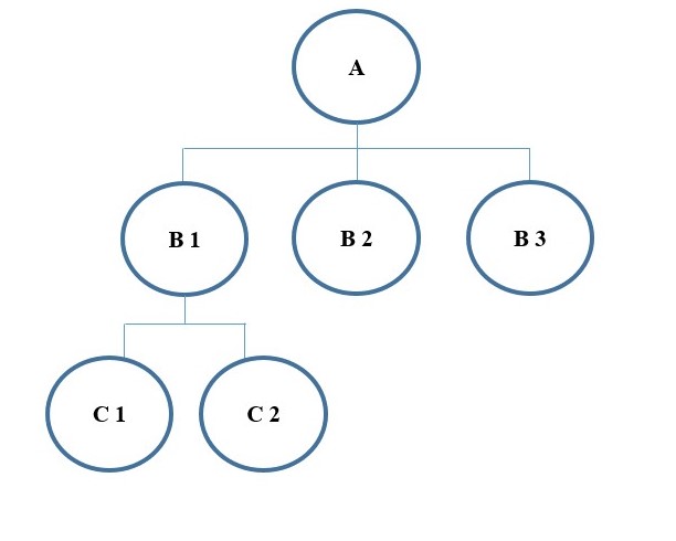 Estructura Organizacional
Vertical