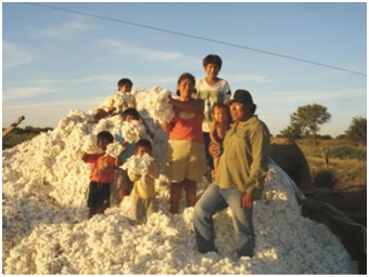 Fotograf&iacute;a de una cosecha de algod&oacute;n.
M&aacute;rtires L&oacute;pez junto a su familia. Campo Medina, 2004