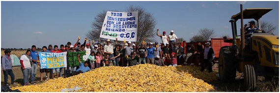 Fotograf&iacute;a de la cosecha del semillero comunitario. Castelli, 9 de
agosto de 2017