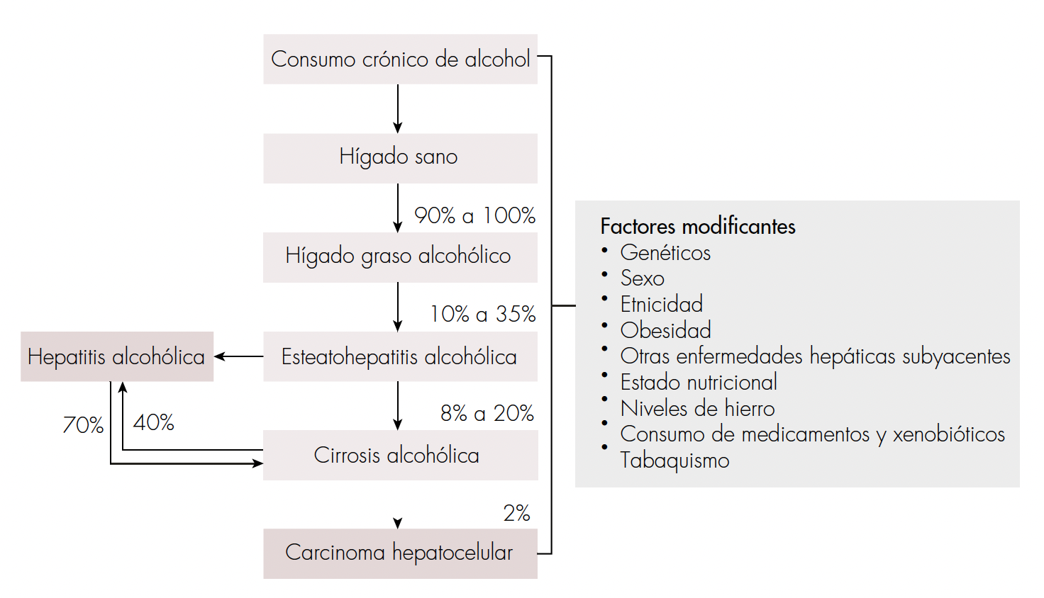 Historia natural de la enfermedad hepática por alcohol (EHA). Como resultado del consumo excesivo de alcohol, la progresión de la EHA comienza con el desarrollo de hígado graso en el 90% a 100% de los individuos, el cual se caracteriza por esteatosis hepática. De estos, entre el 10% al 35%, si continúan consumiendo alcohol de forma crónica, van a desarrollar esteatohepatitis alcohólica. Esta condición progresa lentamente a cirrosis hepática, la cual, a su vez, puede conducir al desarrollo de carcinoma hepatocelular. La mayoría de las hepatitis alcohólicas ocurren en pacientes con fibrosis avanzada o cirrosis hepática. Otros factores influyen en la progresión de la enfermedad. Tomada y adaptada de Seitz HK, Bataller R, Cortez-Pinto H, Gao B, Gual A, Lackner C, et al. Alcoholic liver disease. Nat Rev Dis Primers 2018;4:16 [15].