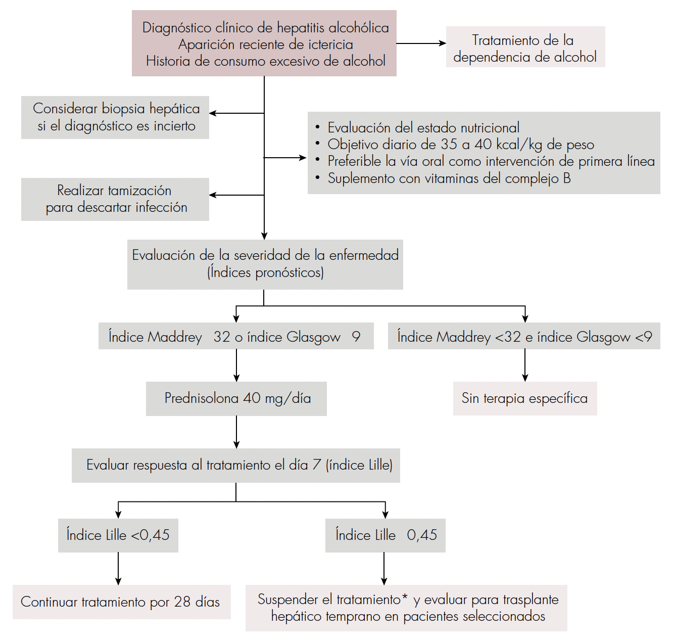 Algoritmo para el abordaje y manejo de la hepatitis alcohólica. *Particularmente en respondedores nulos (índice Lille ≥0,56). Tomada y adaptada de Thursz M, Gual A, Lackner C, Mathurin P, Moreno C, Spahr L, et al. EASL Clinical Practice Guidelines: Management of alcohol-related liver disease. J Hepatol 2018;69:154-181 [9].