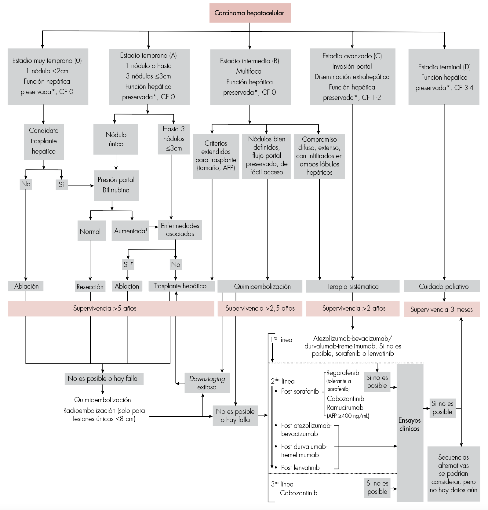 Clasificación BCLC y migración del tratamiento [2]. Clase funcional (CF) 0: sin síntomas; 1: con síntomas leves, capaz de hacer actividad ligera; 2: capaz de autocuidado, pero no de trabajar; 3: capacidad limitada de autocuidado, en cama o sentado >50% del tiempo; 4: dependiente, postrado. AFP: alfa-fetoproteína.*Incluye un grupo de pacientes con diferentes grados de reserva funcional que deben ser cuidadosamente evaluados. En la mayoría de las opciones de tratamiento se requiere una enfermedad hepática compensada [Child-Pugh A sin ascitis], para obtener resultados óptimos. Ϯ Se puede considerar resección en casos de un CHC único y periférico, en tanto se conserve un remanente hepático adecuado.