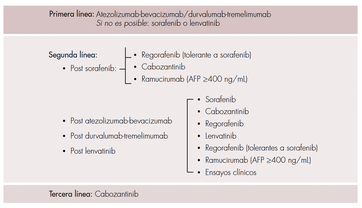 Secuencia de tratamientos actuales para carcinoma hepatocelular (CHC). AFP: alfa-fetoproteína.