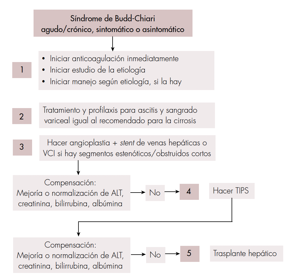 Tratamiento escalonado del síndrome de Budd-Chiari. VCI: vena cava inferior; ALT: alanina aminotransferasa; TIPS: derivación portosistémica intrahepática transyugular. Tomado y adaptado de [2].