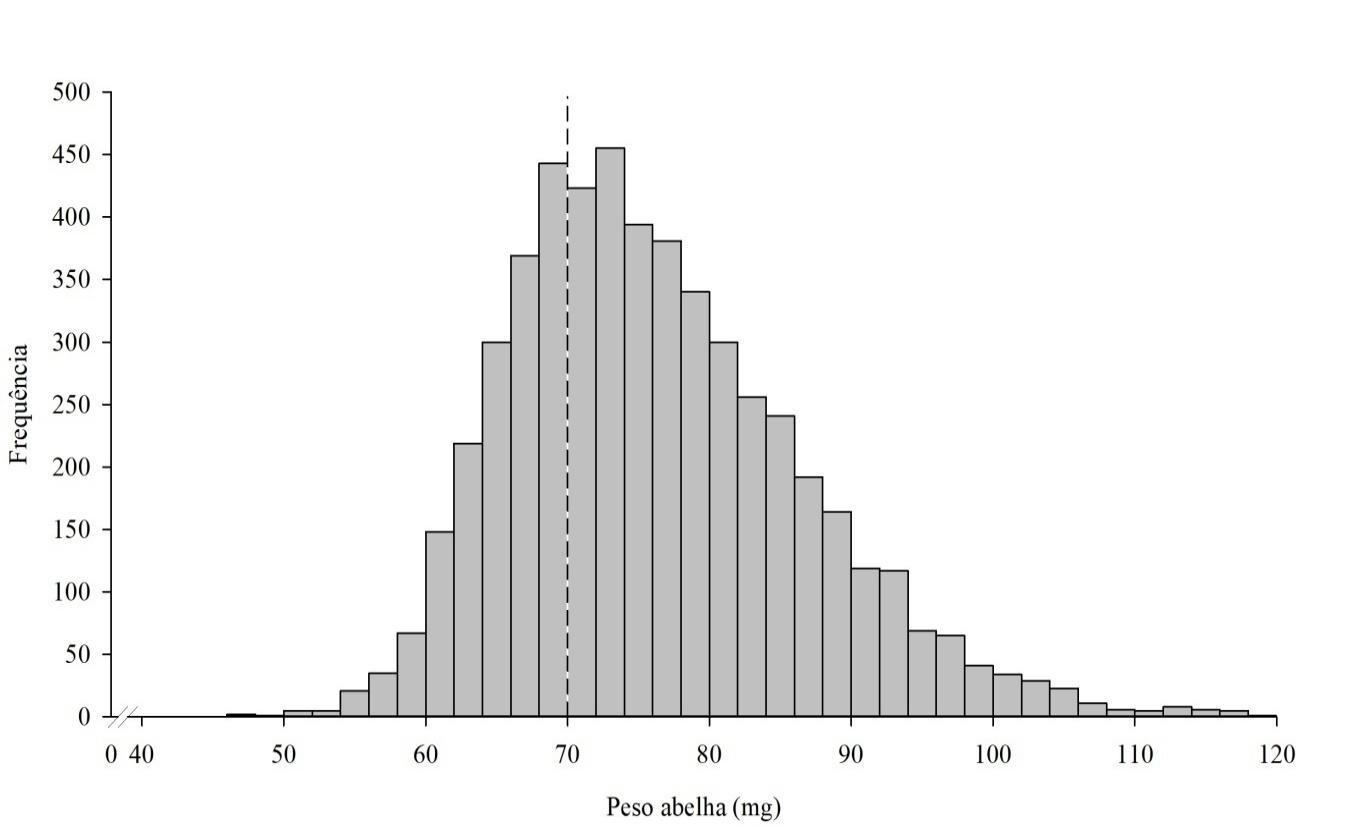 Distribui&ccedil;&atilde;o do peso de Apis mellifera da regi&atilde;o
Sul do estado de Santa Catarina. Linha pontilhada referente ao peso padr&atilde;o
(NOGUEIRA-COUTO; COUTO, 2006).