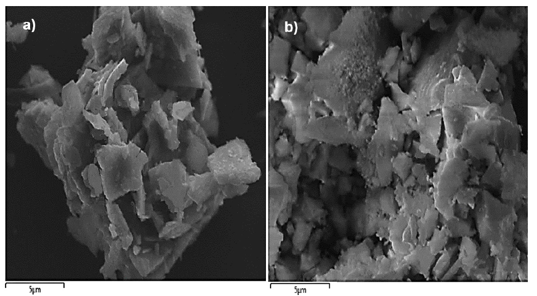Microscopía electrónica de barrido de a NiMo5WyAl2O3 y b NiMo5WyAl2O3 –ZnO 27