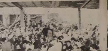 Imagen
del Congreso de SITRAC-SITRAM33