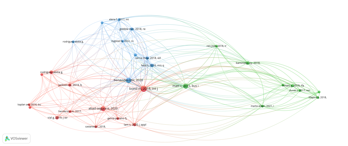 Clústeres de las referencias co-citadas dentro de la base de datos 