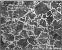 Micrografía del acero G10350 con ataque (100x)