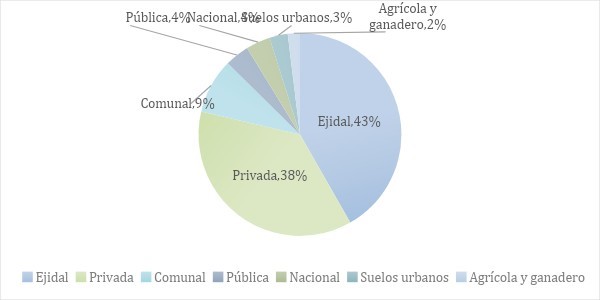 Gráfica 3. Tipo de propiedad a nivel nacional. RAN