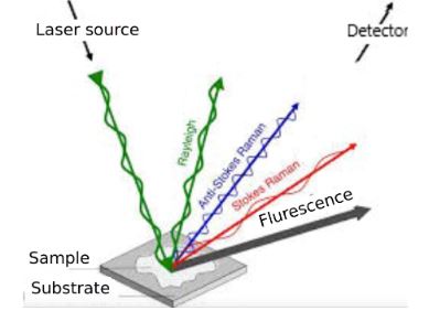 Representation of the monochromatic light scattering process. Raman scattering presents light scattered as different wavelengths (blue and red trace).