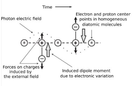 Action of the electric field in the formation of induced dipole momento