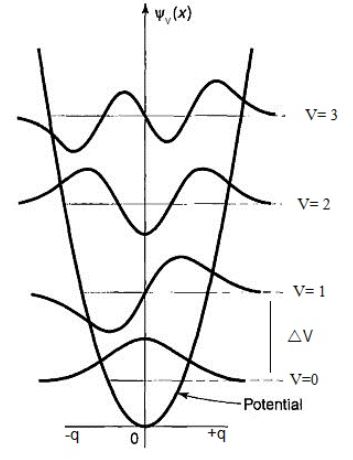 Potential function for different ψυ.