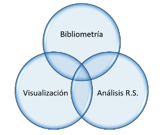 Metodología adaptada para la construcción de la                      estructura conceptual. 