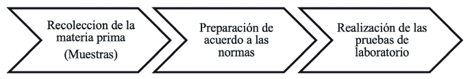 Metodolog&iacute;a utilizada.